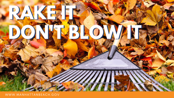 Leaf blowers prohibited