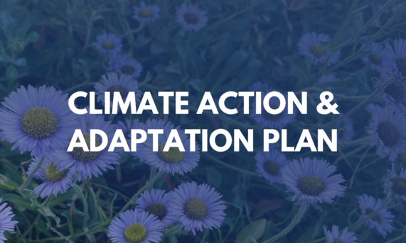 Climate Action and Adaptation Plan Title