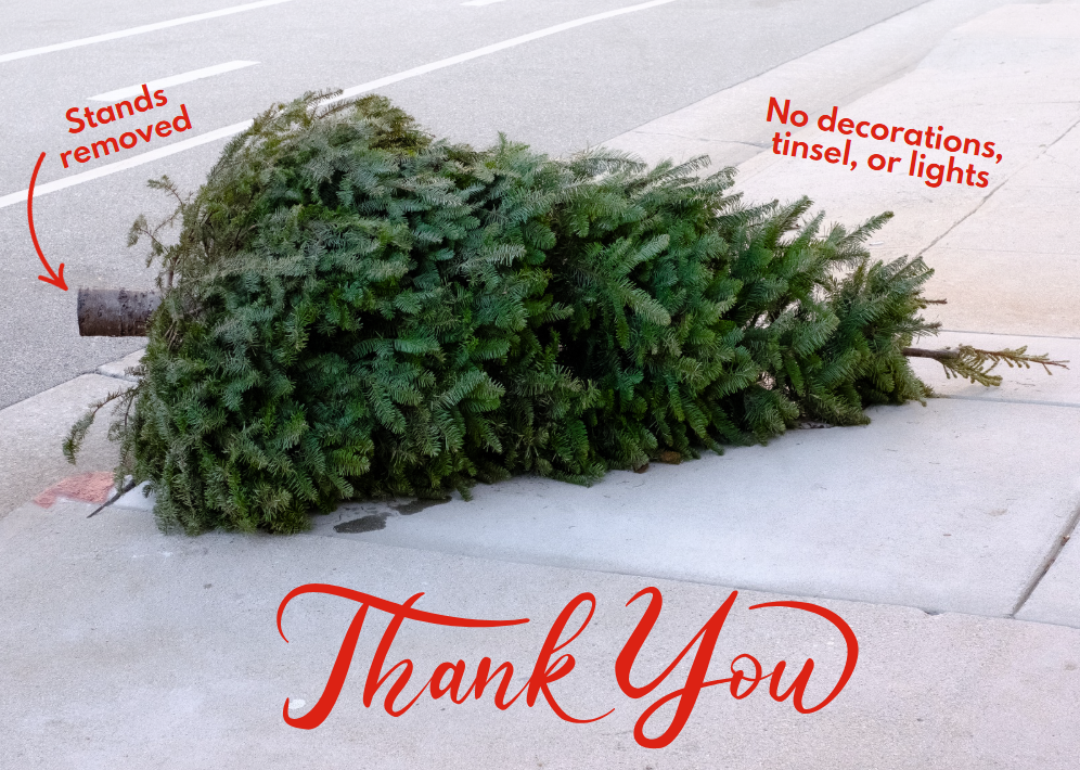 Holiday Tree Collection