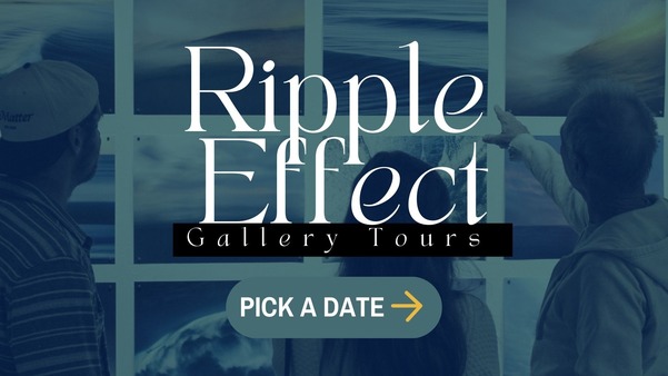 Ripple Effect Gallery Tour