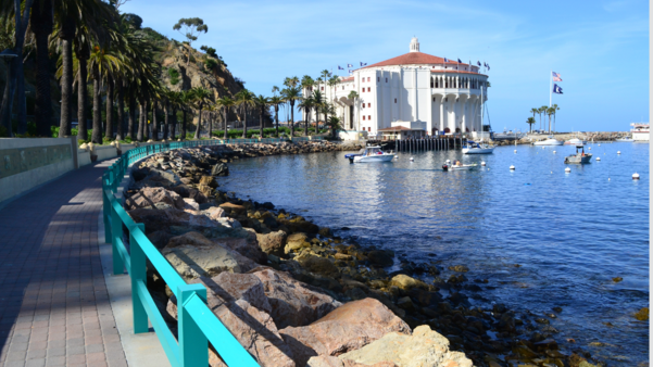 Catalina Senior Bus Trip