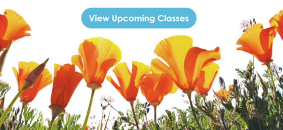View Upcoming Classes