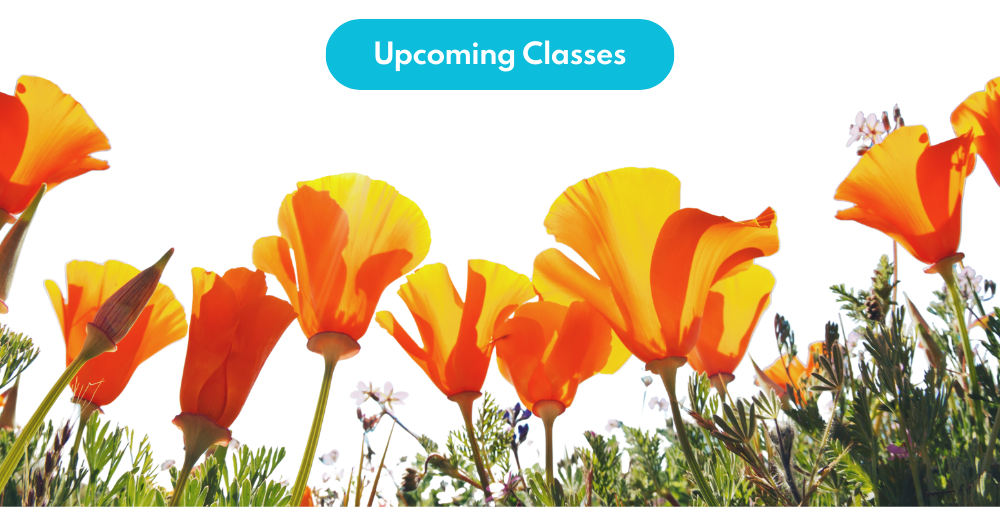 Landscaping Classes Button