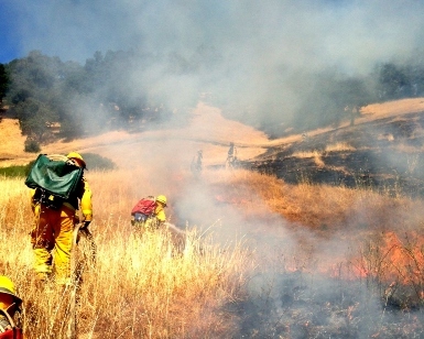 Firefighters tend to a grassland fire during a training session