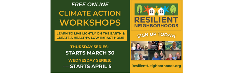 Resilient Neighborhood Spring Classes Flyer