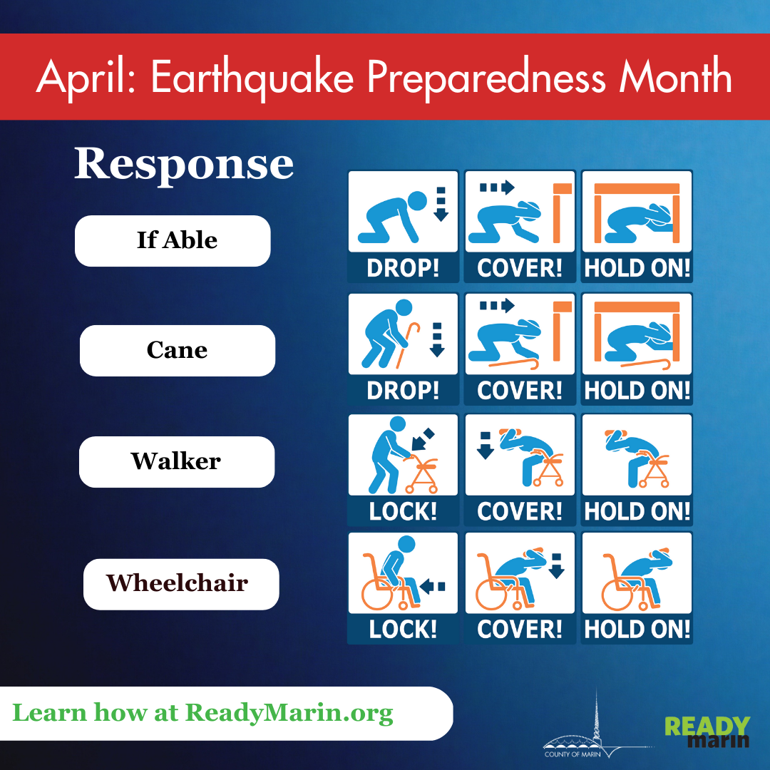 Response: Earthquake Graphic 