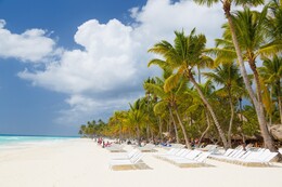 A Caribbean beach with palm trees.