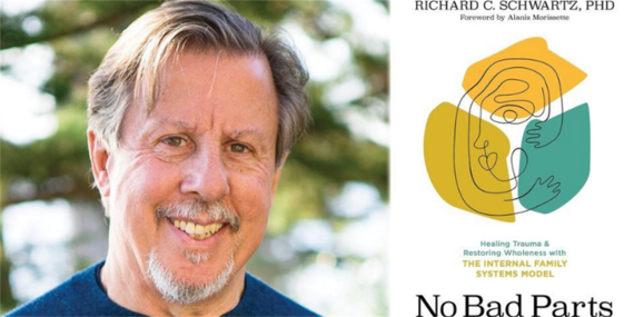 No Bad Parts - Richard C. Schwartz