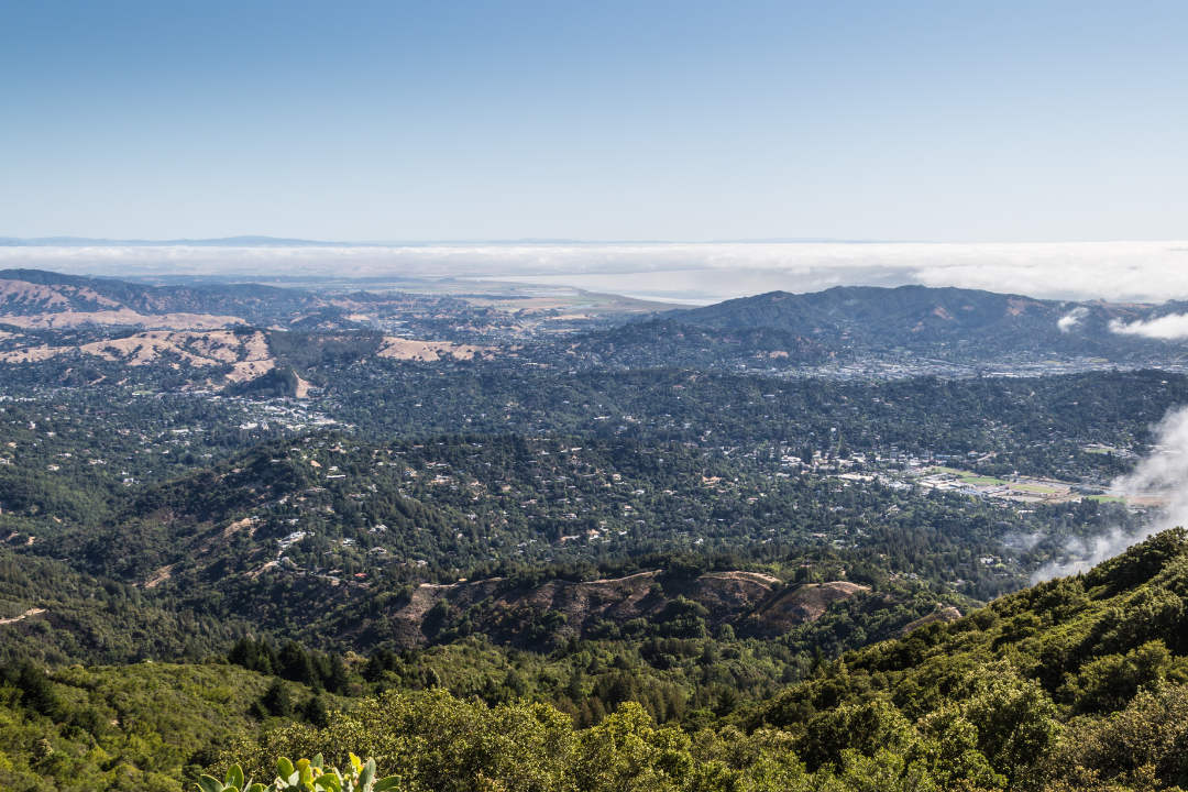 July 2024 - Dev Code