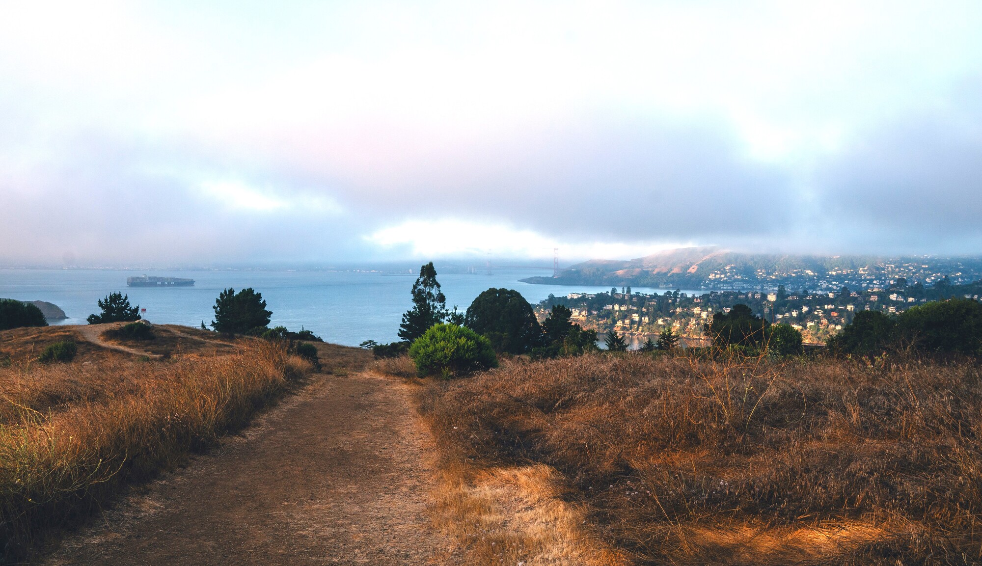A view of Tiburon Ridge, a new section of Old Saint Hilary Open Space Preserve
