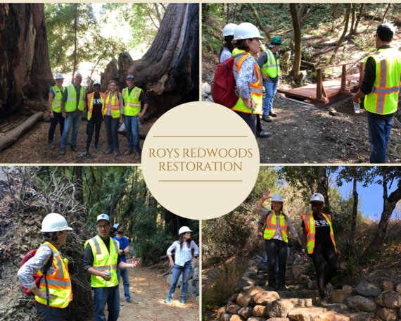 Roy's Redwoods