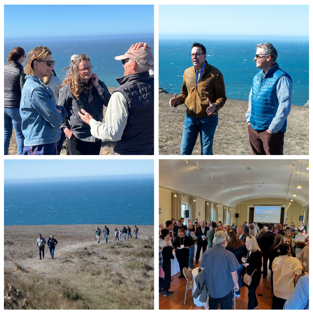 moments captured at Tomales, three photos along the ocean and one in an indoor gathering space