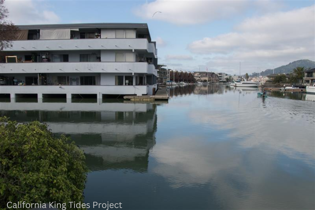 D4 Flooding Photo King Tides