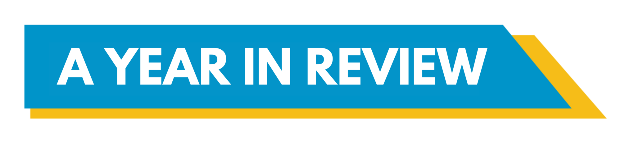 a year in review banner