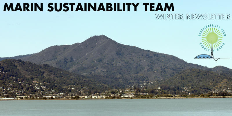 Winter Newsletter Title Card