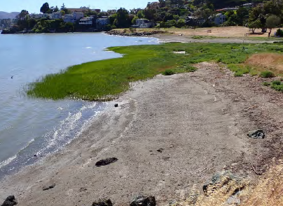 Flood zone 4 flooding