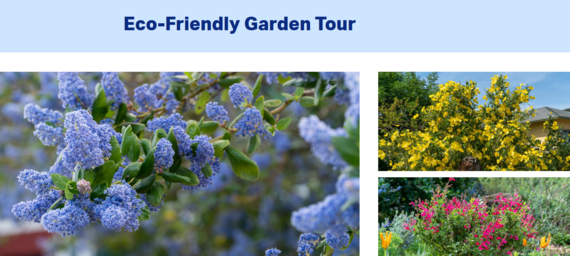 Eco-Friendly Garden Tour