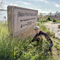 Eric pulling weeds at Black Point Spruce Up Event
