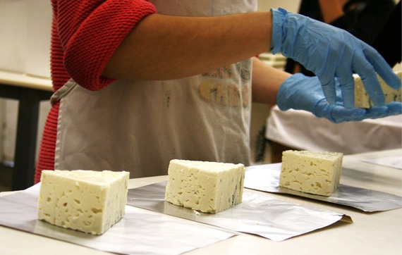 A person's hands with chunks of cheese at a dairy
