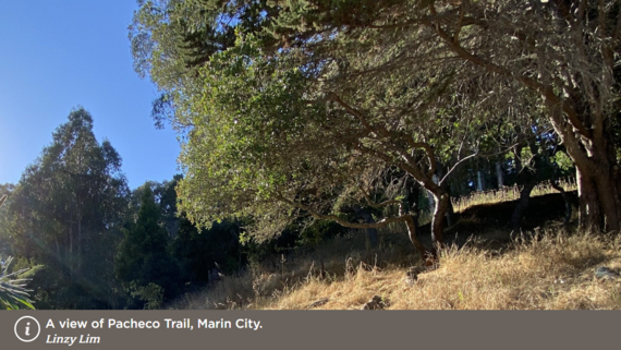 Marin City Heritage Tour
