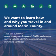 TAM Survey 2