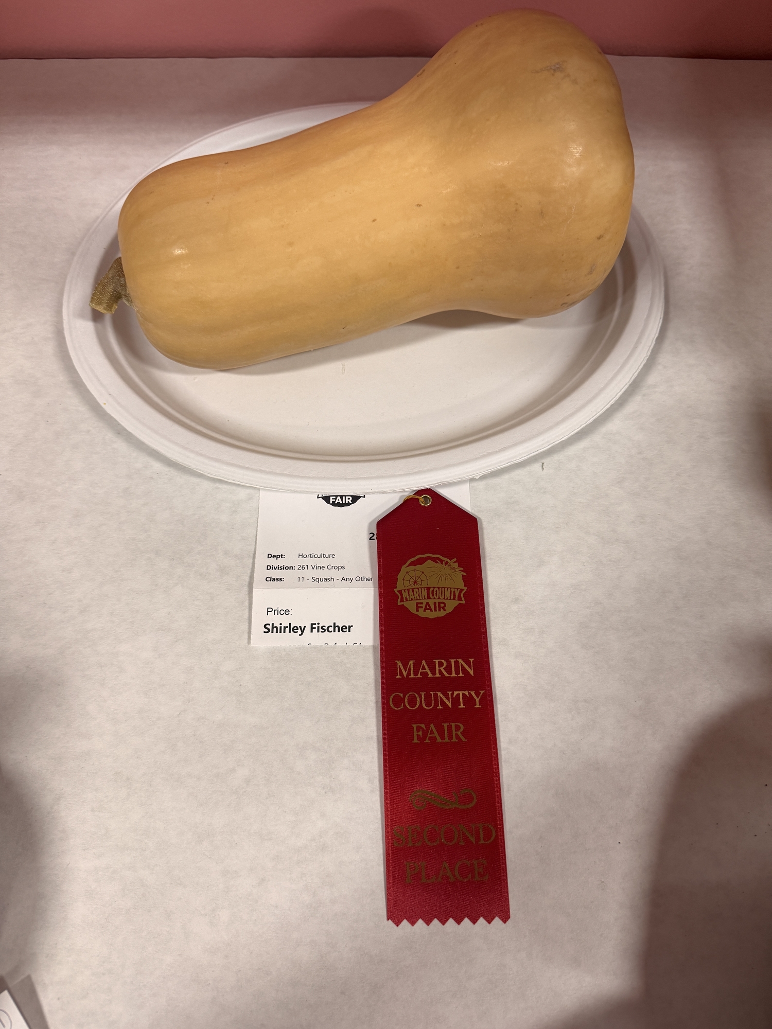 Gourd with 2nd Place Ribbon