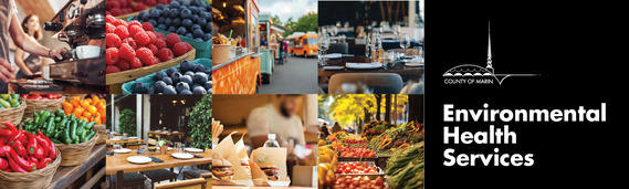 Environmental Health Services Banner