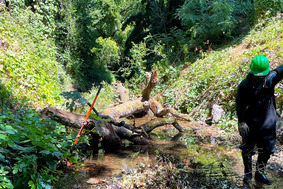 A worker clears debris from a creek.