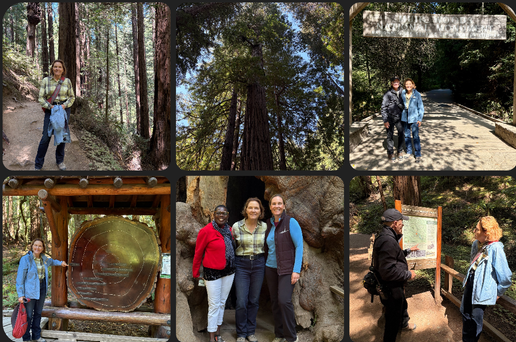 Muir Woods