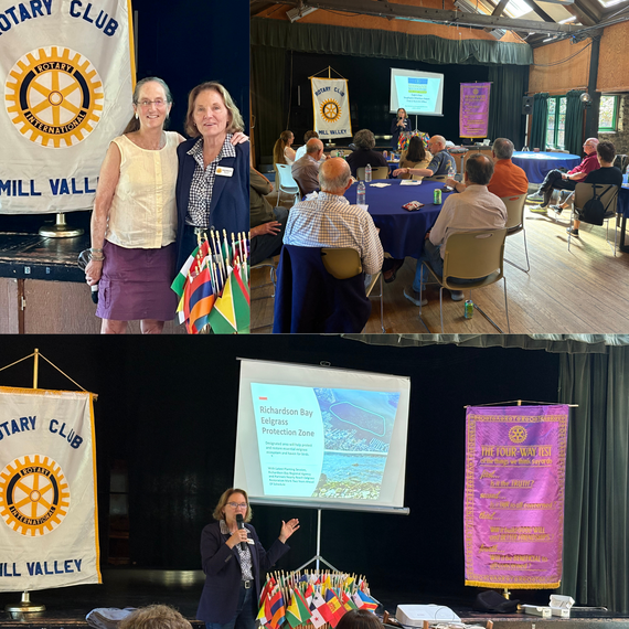 Mill Valley Rotary 