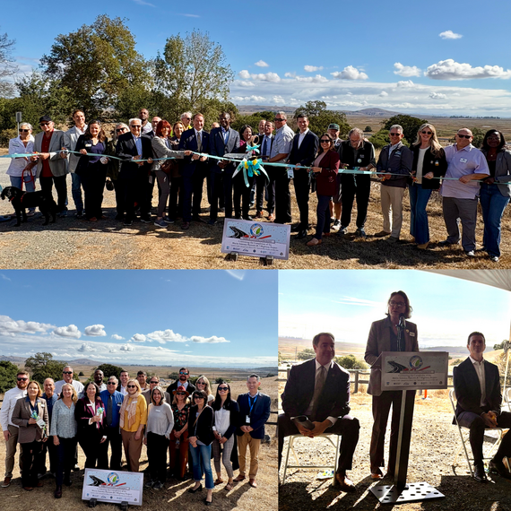Marin Sonoma Narrows