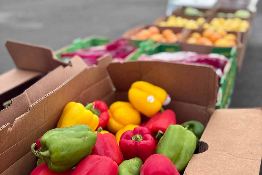 D4 - Food Pantry SGV Photo