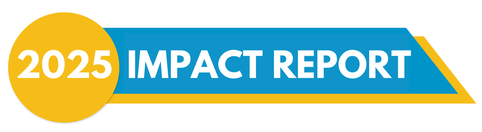 2025 Impact Report