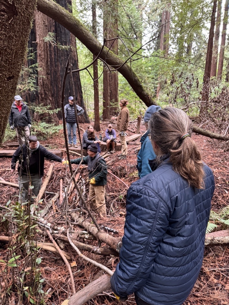 Roy's Redwoods Workday