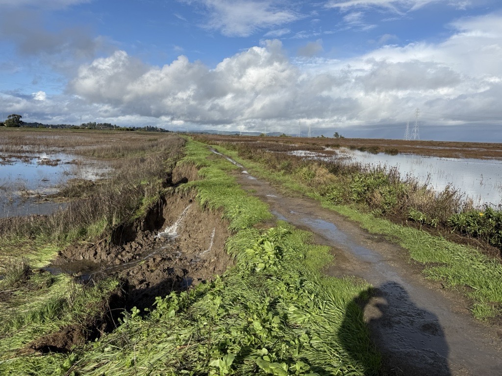 Levee Damage at McInnis