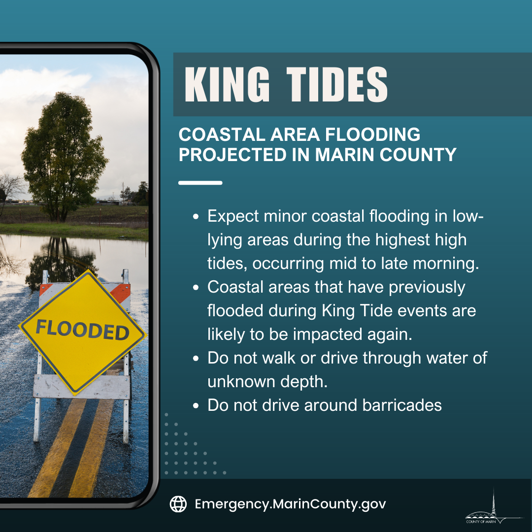 King Tides Prep