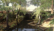 Bridge over San Anselmo Creek in the downtown area.