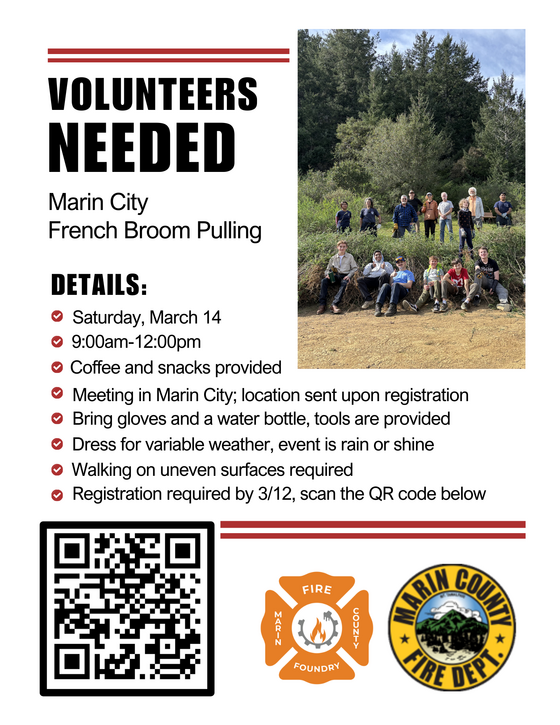 Marin City French Broom Event