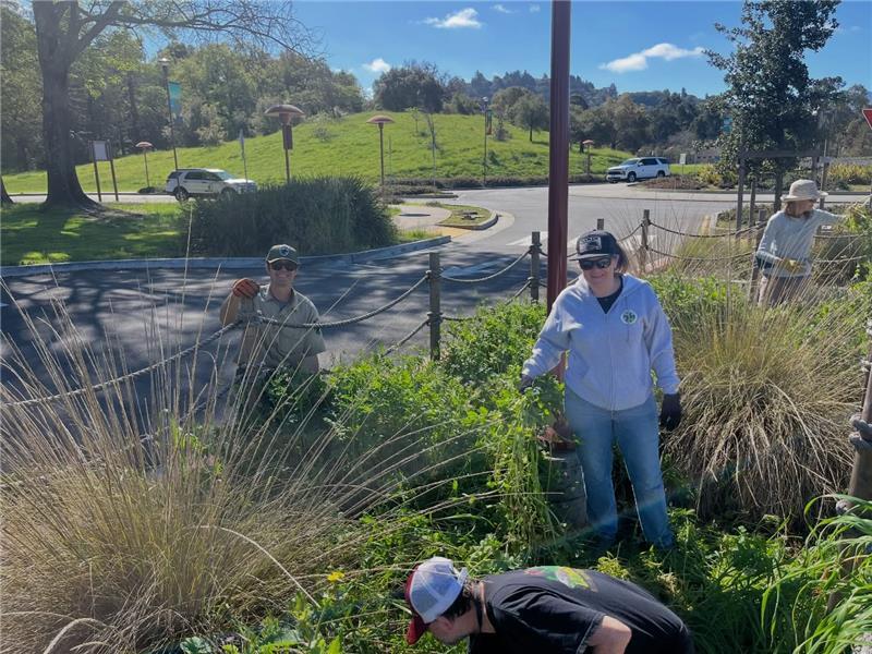 pulling weeds in Veterans Memorial Auditorium parking lot with Mary and Kirk from County Parks smiling toward camera