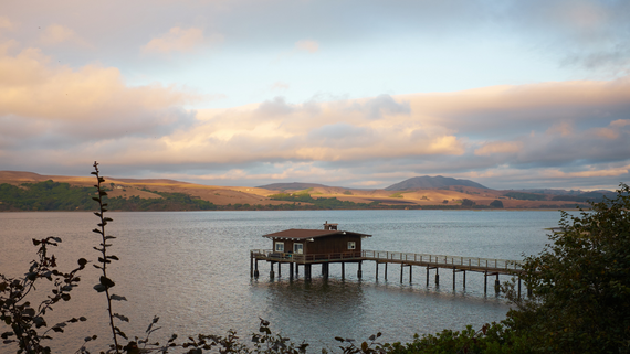D4 - Tomales Bay