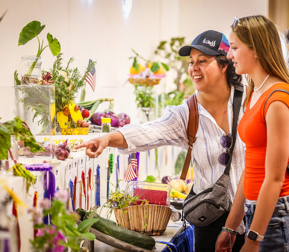 People in nex to Fair Exhibits