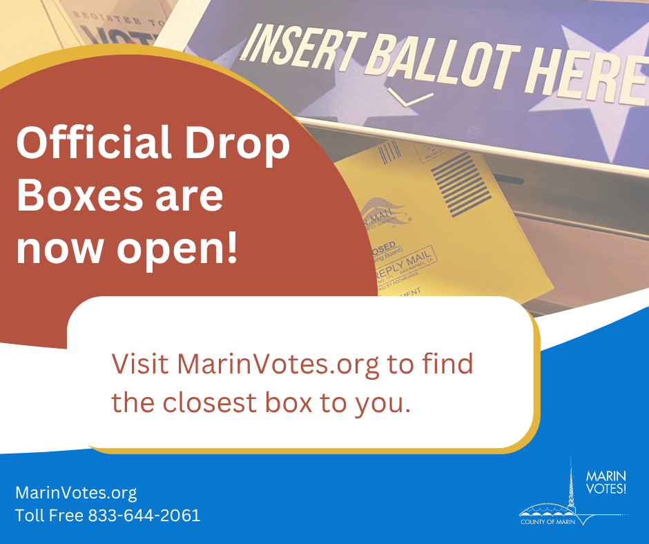 Ballot Box with text