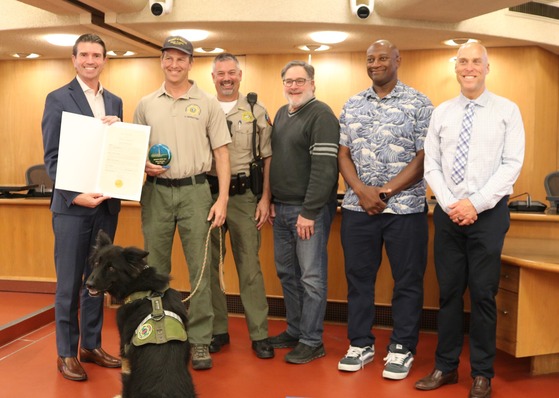 Volunteer of the Year