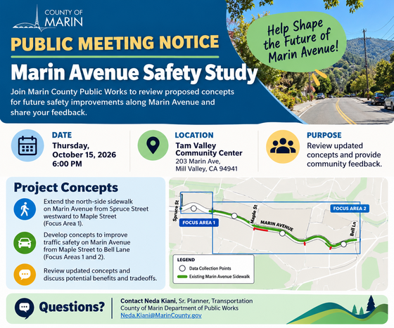 Marin Ave Meeting