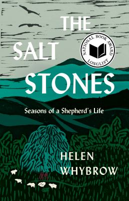 The Salt Stones book cover with hills and grass 