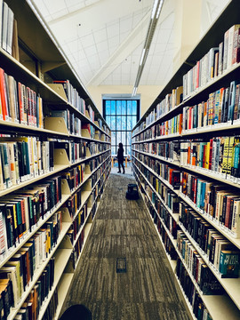 Interior of Library - Row of Books