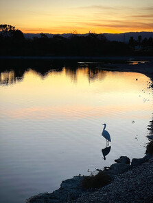 Image of Shoreline at Mountain View at Sunset
