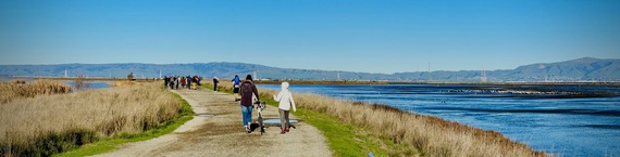 People walking a trail near the water at Shoreline