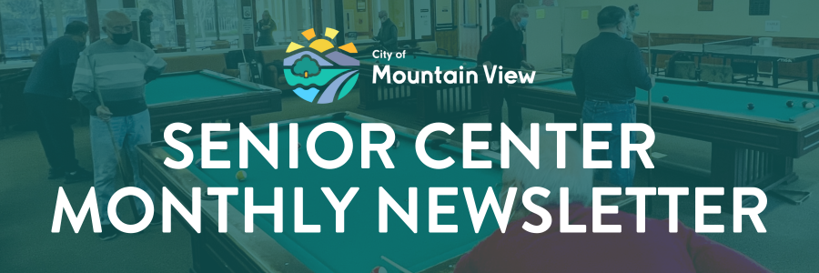 Senior Center Newsletter Banner with People Playing Pool