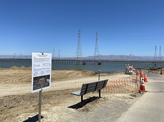 Image of a climate change project at Shoreline